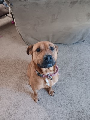 Photo of Lyla