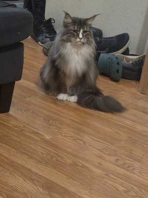 Photo of Hermes