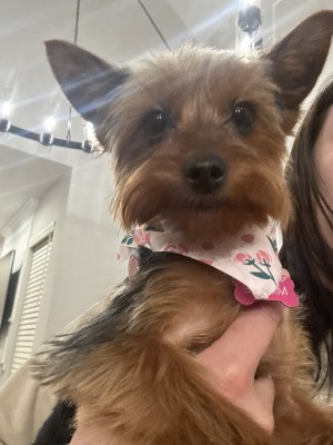 Photo of Minnie