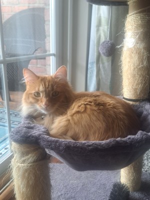Photo of Lucy