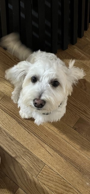 Photo of Luka