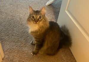 Photo of Sebastian