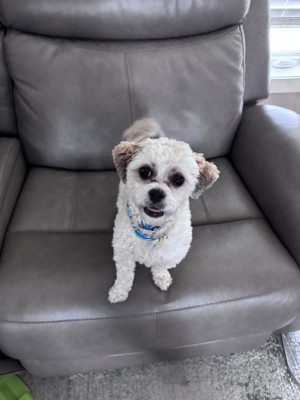 Photo of Maya
