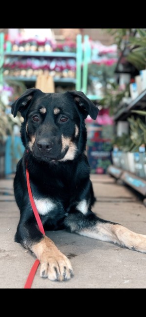 Photo of Zeus