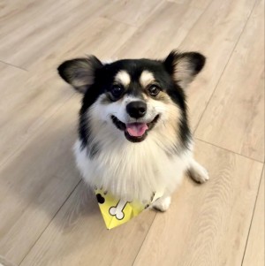 Photo of Teddy