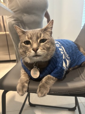 Photo of Pudgey