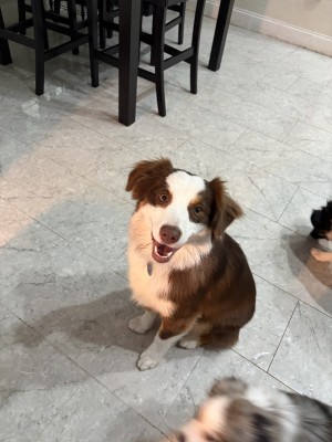 Photo of Thor