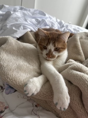 Photo of Theodore
