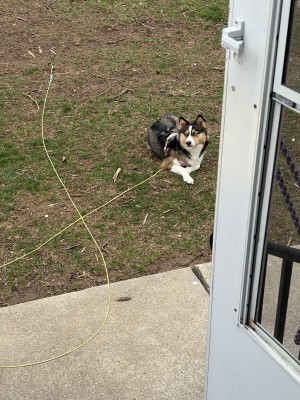 Photo of Luna