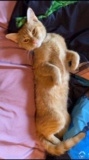Photo of Little Baby