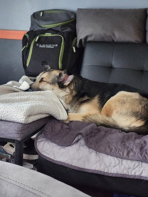 Photo of Charlie