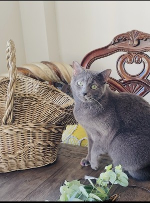 Photo of Delilah
