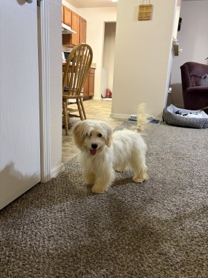Photo of Snuggy
