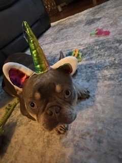 Photo of Jasper