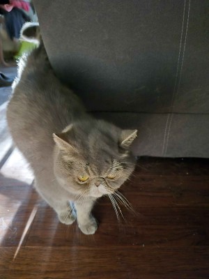 Photo of Cynthia