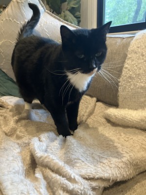 Photo of Luna