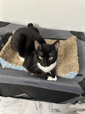 Photo of Boots