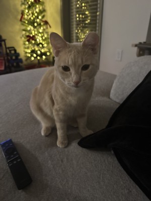 Photo of Libby