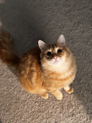 Photo of Walter