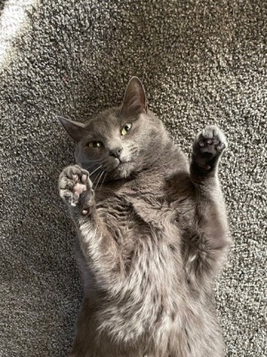 Photo of Lucy