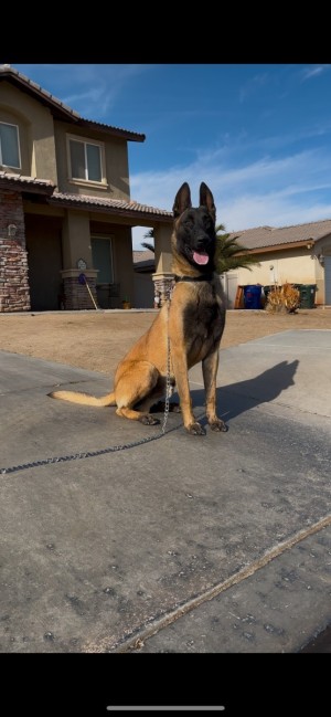 Photo of Kano