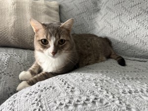 Photo of Mylo