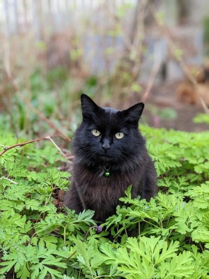 Photo of Barnaby