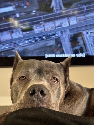 Photo of Sage