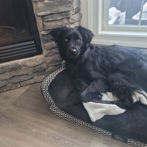 Photo of Shelbie