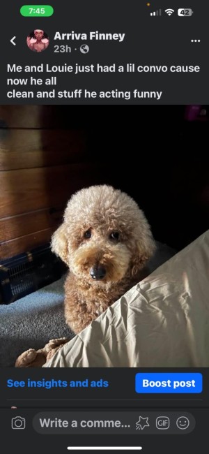 Photo of Louie