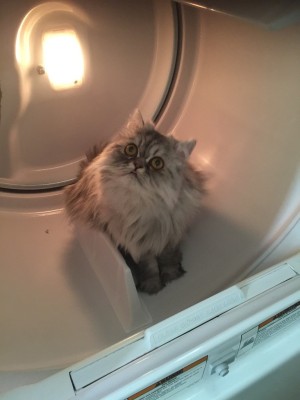 Photo of Zeke