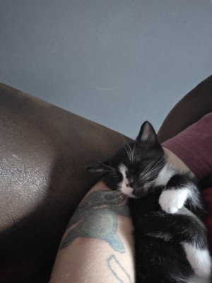 Photo of Raisin