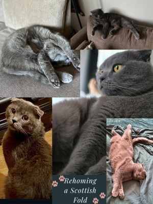 Photo of Leo