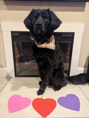 Photo of Jet