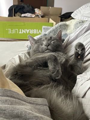 Photo of Kitty