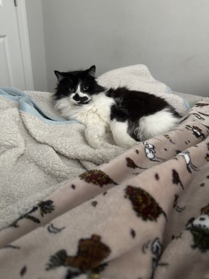 Photo of Max
