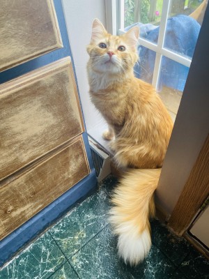 Photo of Tony