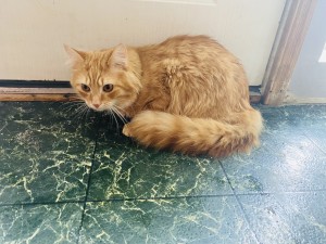 Photo of Ted