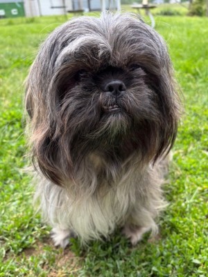 Photo of Bentley