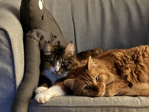 Photo of Ella & Leo