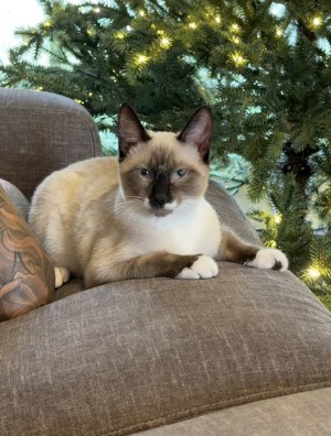 Photo of Wednesday