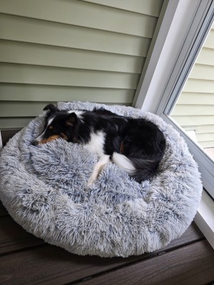 Photo of Luna