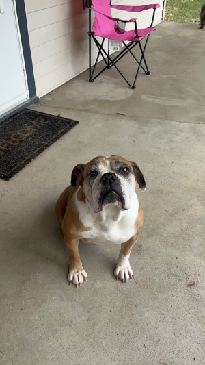 Photo of Darla Sue