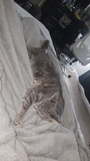 Photo of Axel