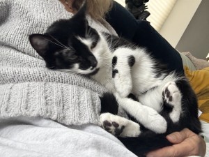 Photo of Maisie