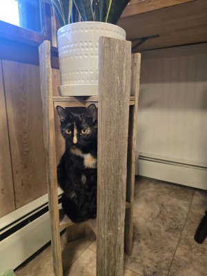 Photo of Charlotte
