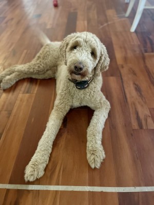 Photo of Wendell &ldquo;Winnie&rdquo;