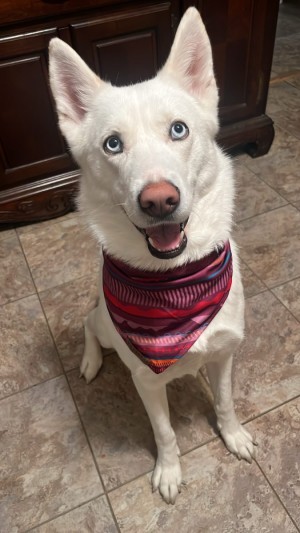 Photo of Kira