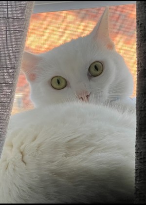 Photo of Winnie
