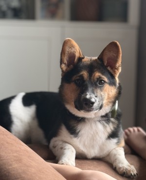 Photo of June
